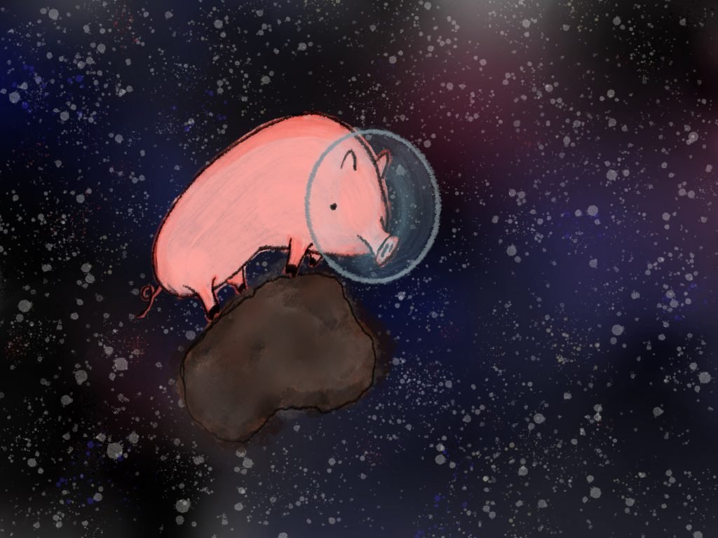 Pig Print - Pig in Space **FREE**