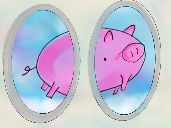 Pig Print - Outside Plane Window **FREE**