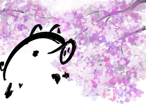 Pig Print - Cherry Blossoms **FREE**