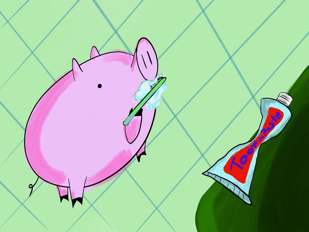 Pig Print - Brush Pig **FREE**