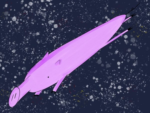 Pig Print - Warped Speed **FREE**