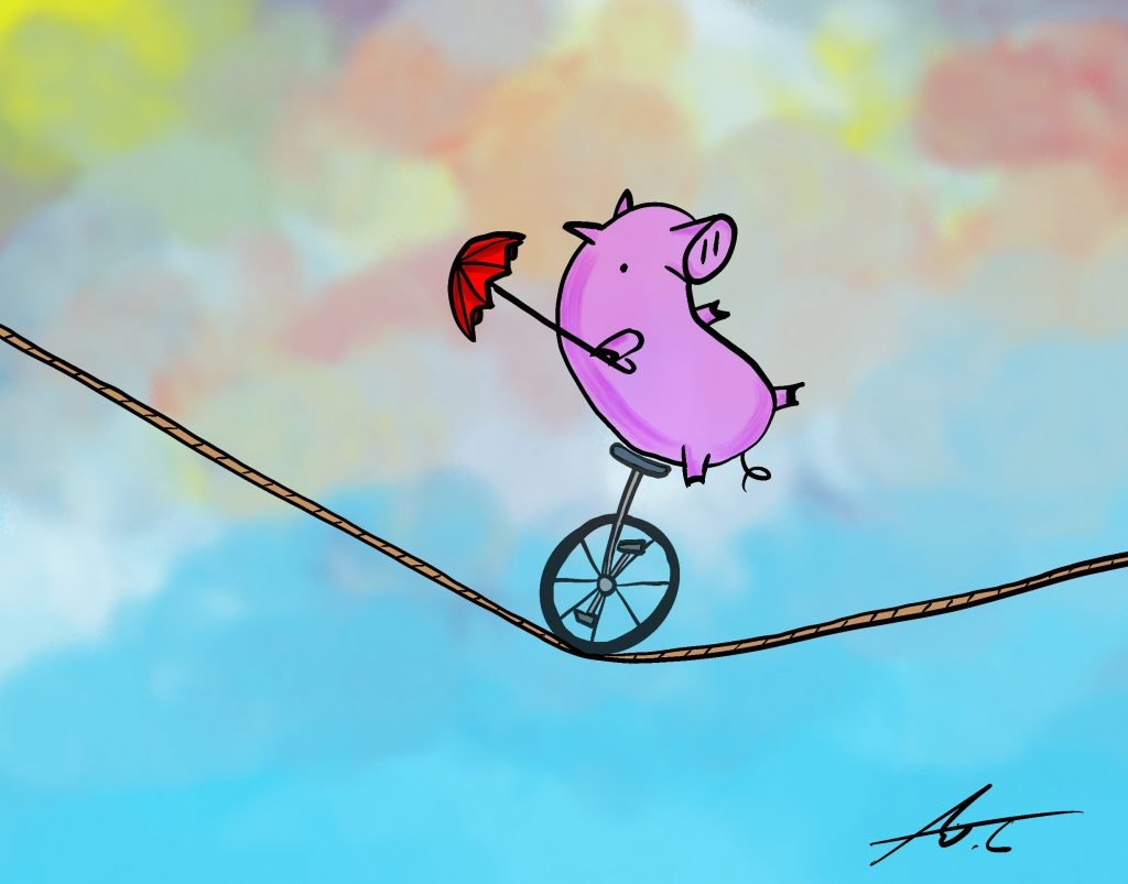 Pig Print - Tightrope Unicycle