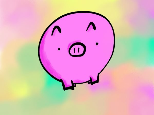 Pig Print - Straight On Pig