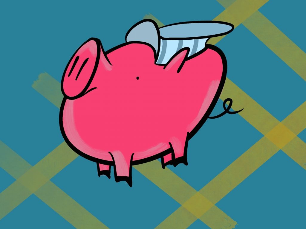 Pig Print - Stupid Choo-Choo Hat