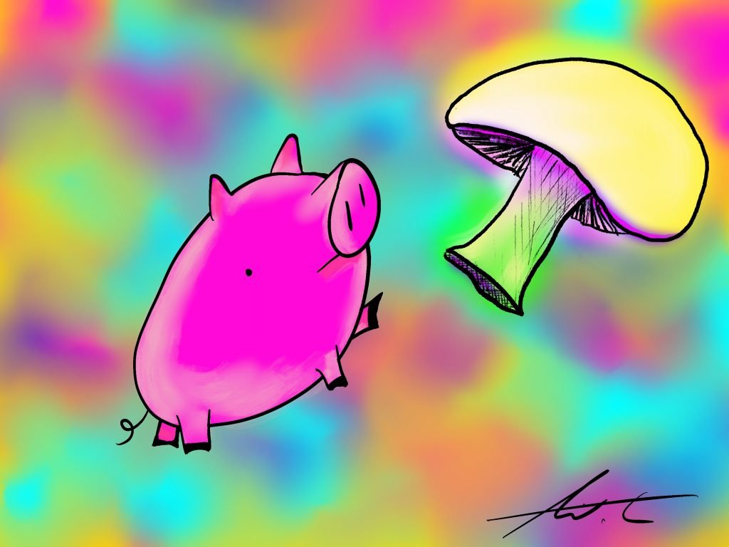 Pig Print - Mushroom Time