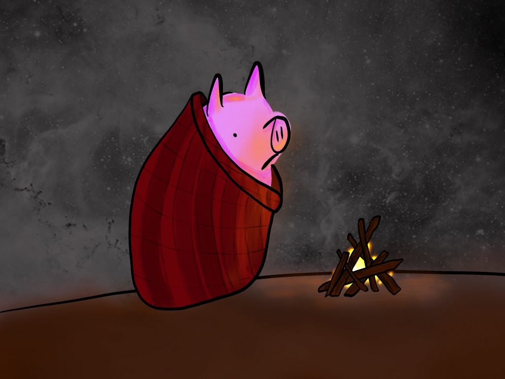 Pig Print - Camping Nights
