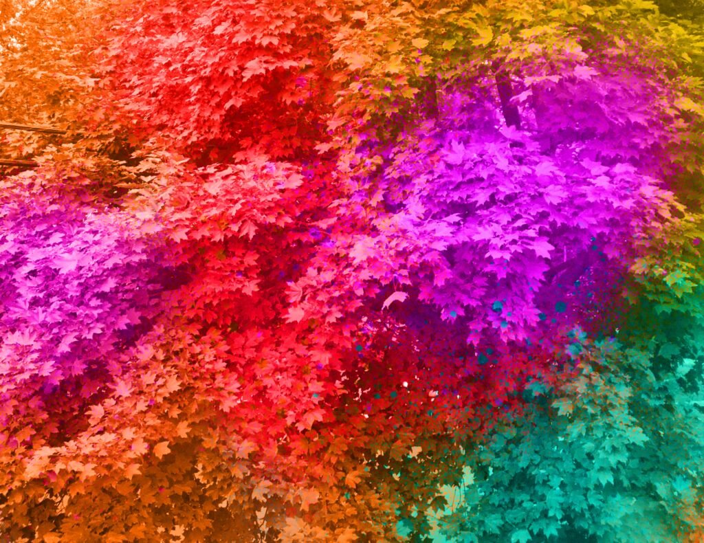 Psychedelic Fall