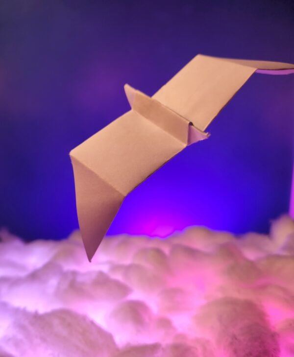 Paper Pinioned Flight